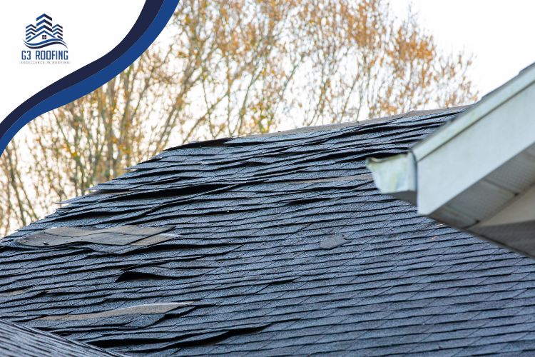 raleigh roofing