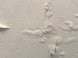 Water damage on the ceiling of a Raleigh home